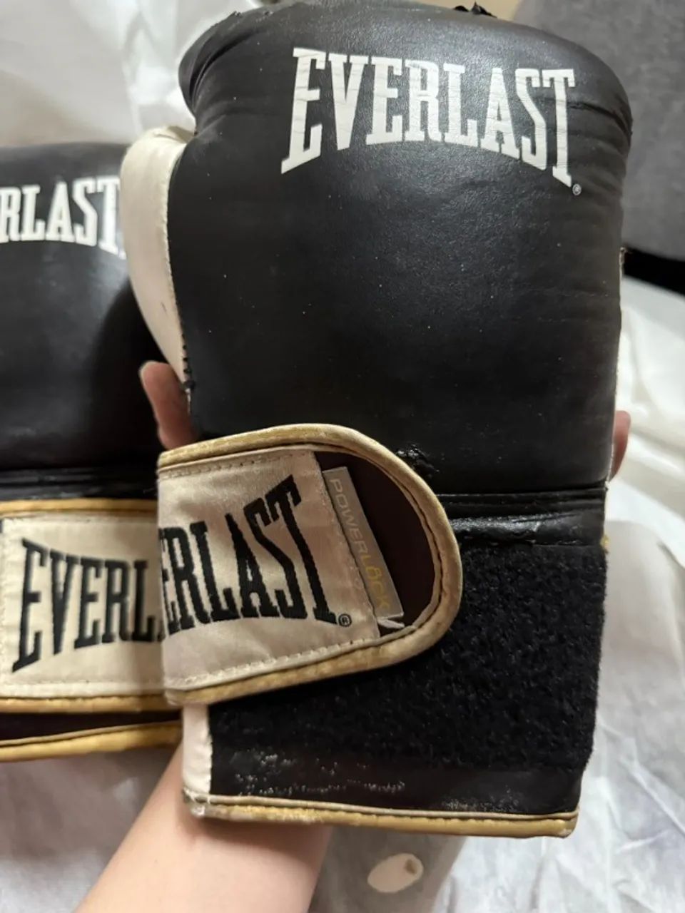 Luvas de Treino Everlast Estilo Profissional 14oz