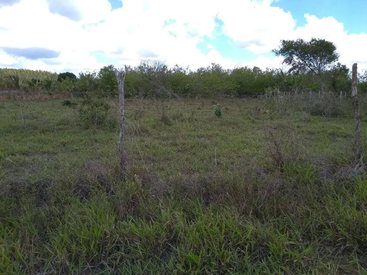 Vendo Terreno em Itaporanga  - Foto 5