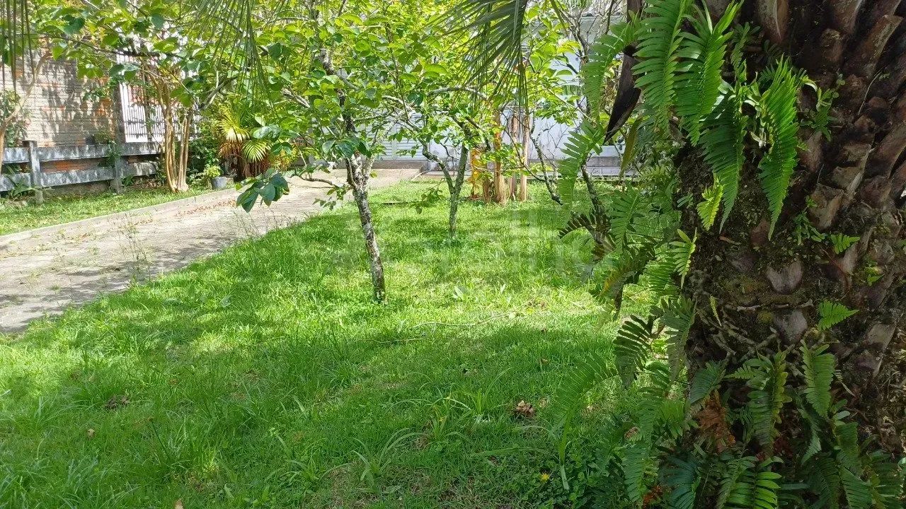 Imóvel para venda tem 720 metros quadrados em Daniela - Florianópolis - SC - Foto 4