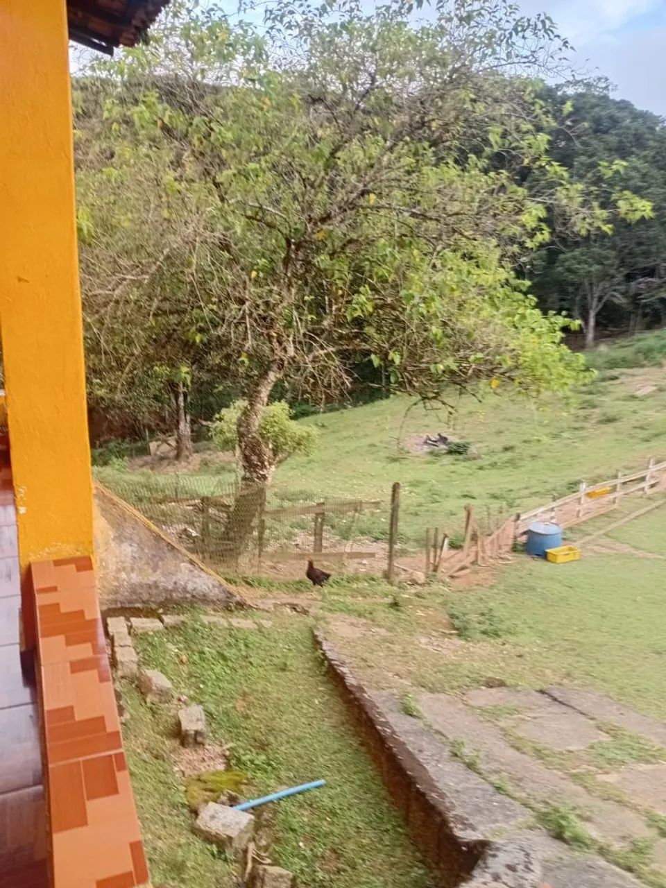 Foto - São Bernardo do Campo - Rio Grande
