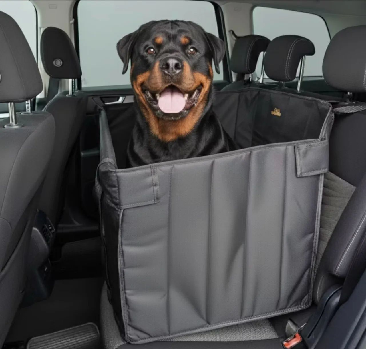Capa pet protetora carro
