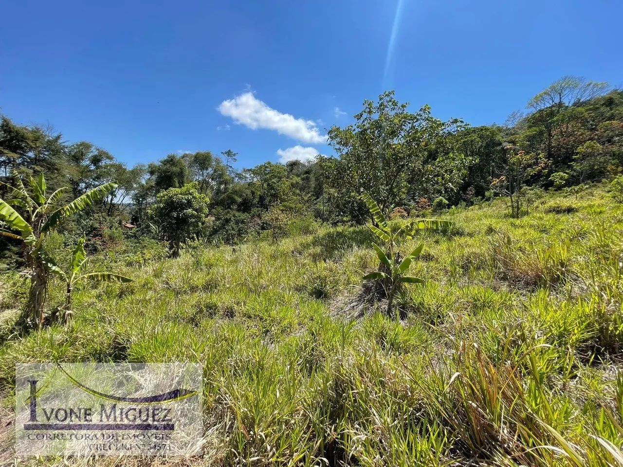 Terreno em Palmares - Paty do Alferes - Foto 4