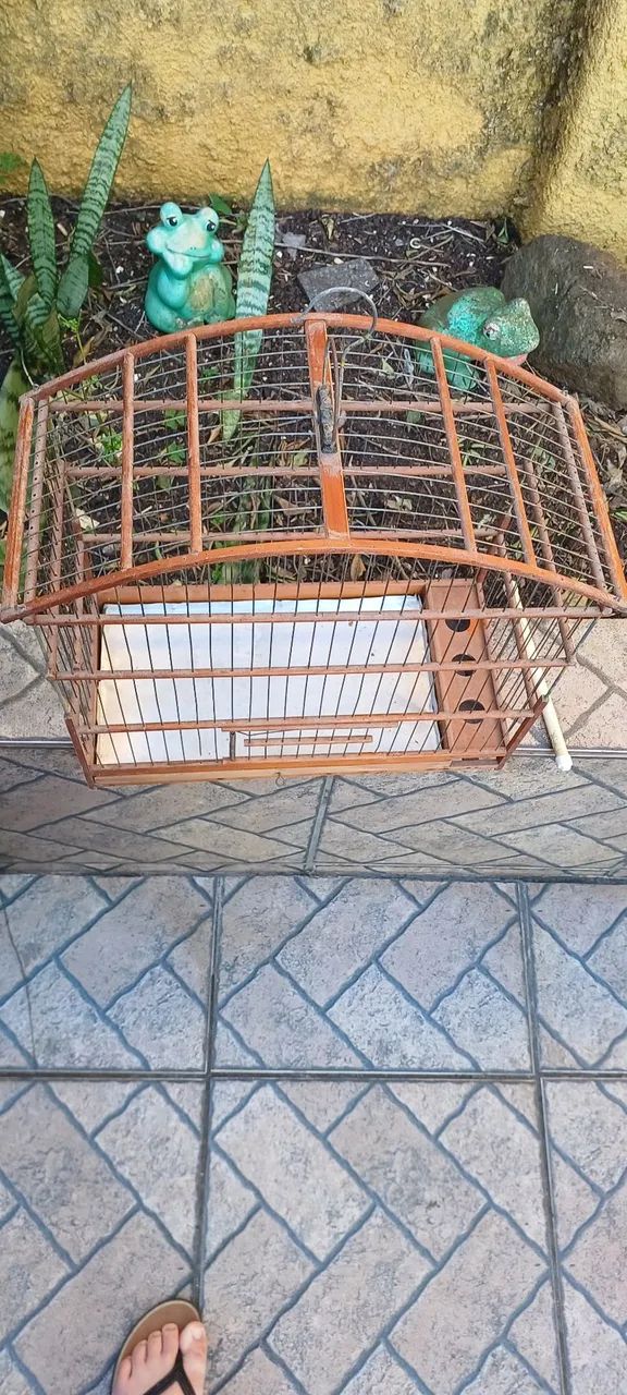 Gaiola de Madeira  - Foto 3