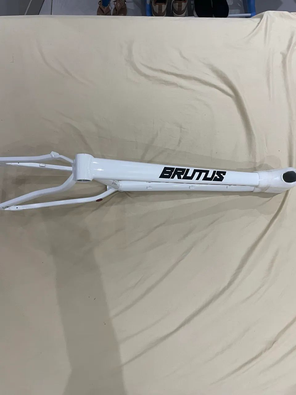 Quadro absolut brutus pro original 