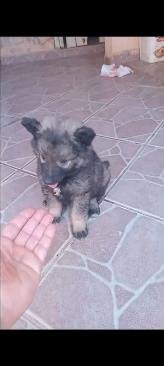 Vende se  - Foto 4