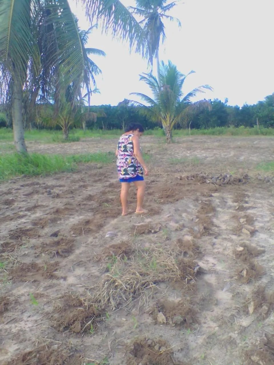 Térreo de 787,5 m² - Foto 4