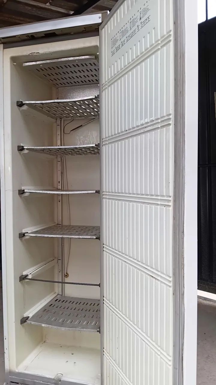 Vendo freezer com entrega grátis  - Foto 2