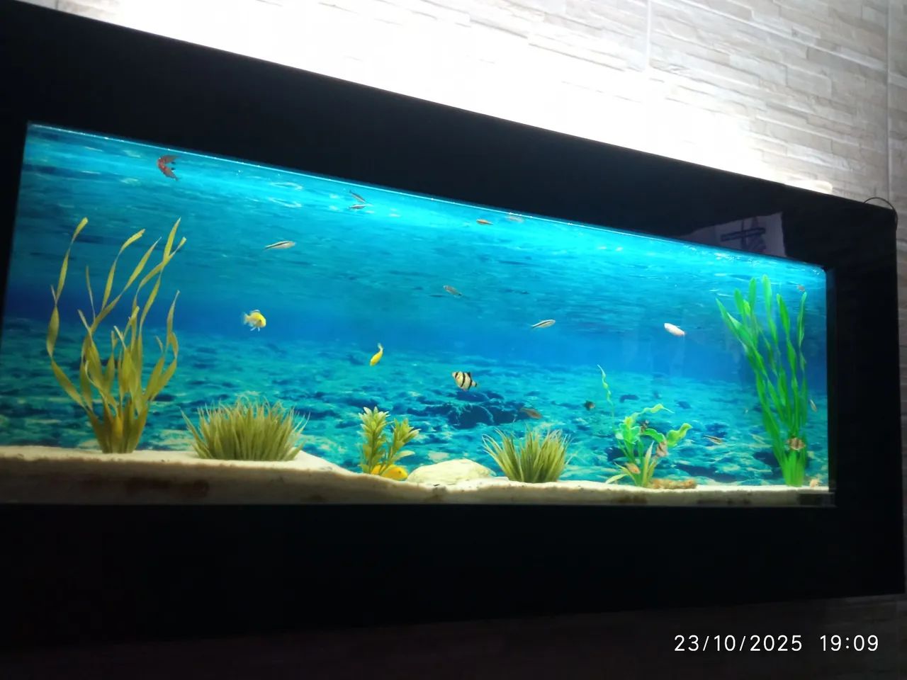 Aquário de parede  - Foto 3