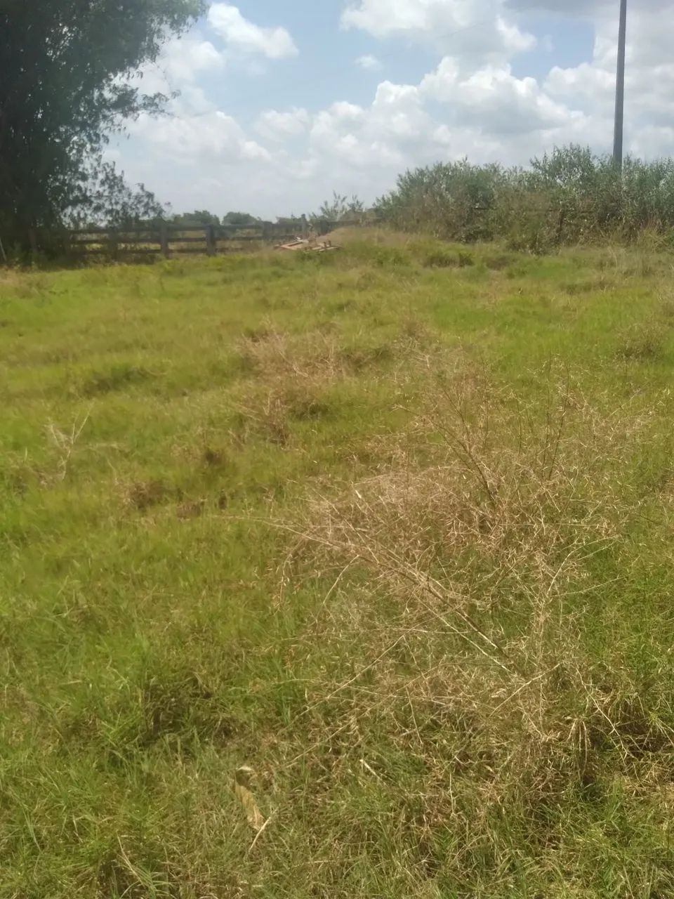 Fazenda - Foto 5