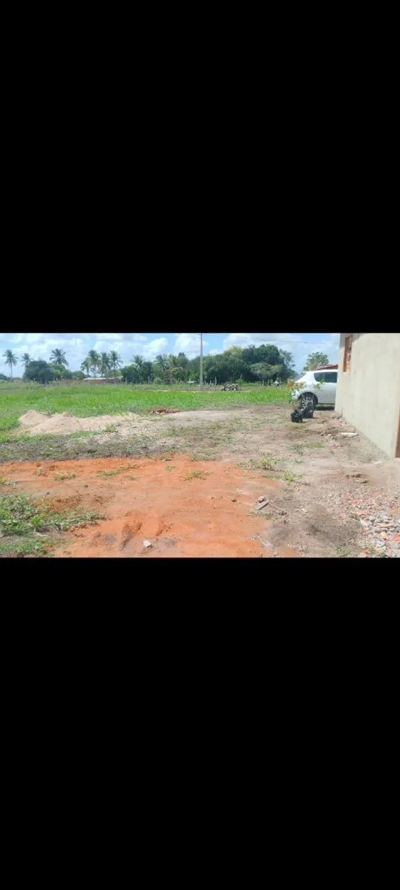 Vendo propriedade em Anadia  - Foto 4