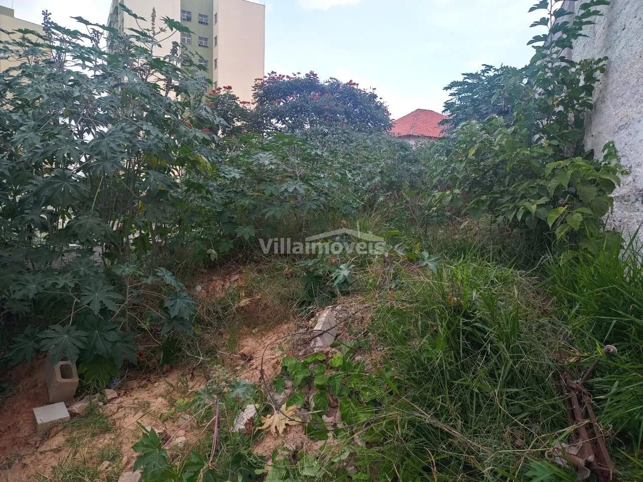 terreno - Vila Industrial - Campinas - Foto 5