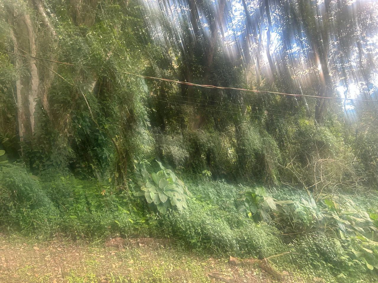 Vargem Grande  - Foto 2