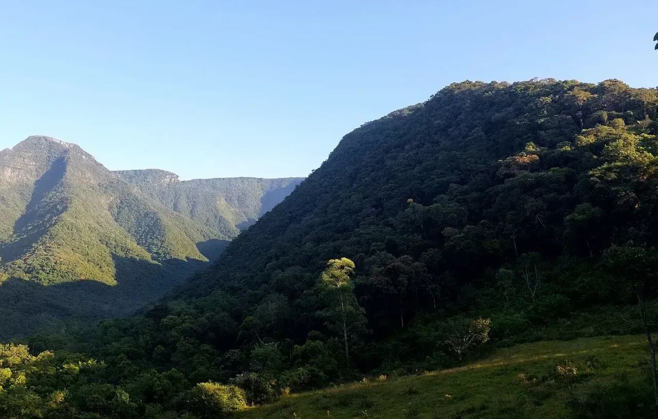Propriedade Rural 9 Hectares - Turvo, SC - Foto 2