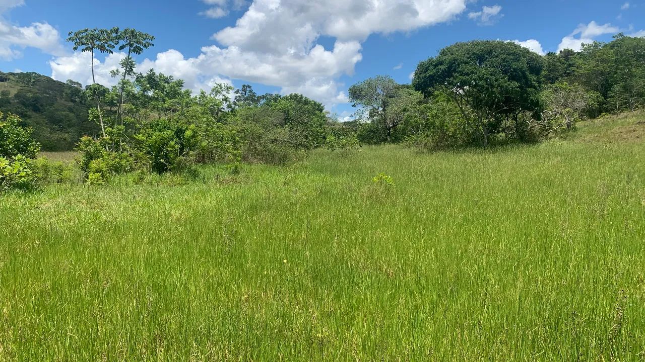 Fazenda em Catu-Ba - Foto 5