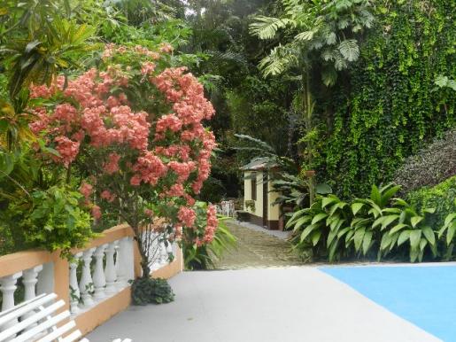 Sítio Doce Harmonia este paraíso está liberado para Festas e Eventos! - Foto 2