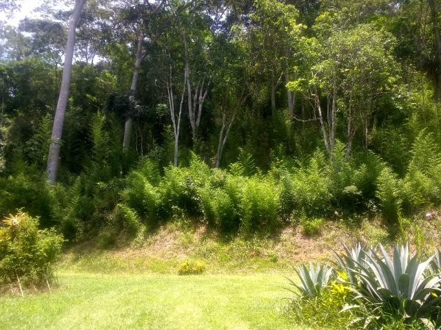 Vale das Videiras - Vende-se terreno 2.400 m2 (direto com propretário) - Foto 2
