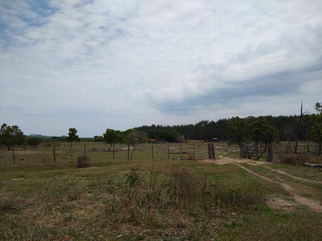 Fazenda a Venda