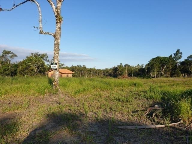 1420 Chácara no Bairro Pinheiros - Foto 3