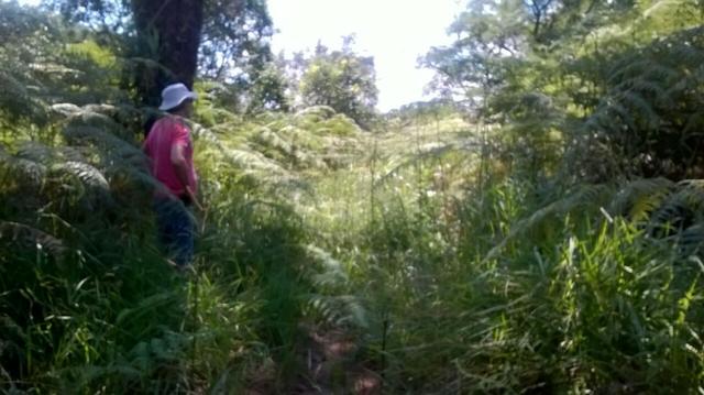Urgente Fazenda a baixo valor de mercado (Angatuba SP) - Foto 5