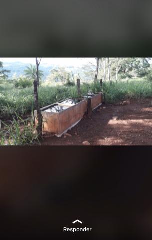 Fazenda próximo Araguari 72 Alqueires - Foto 4