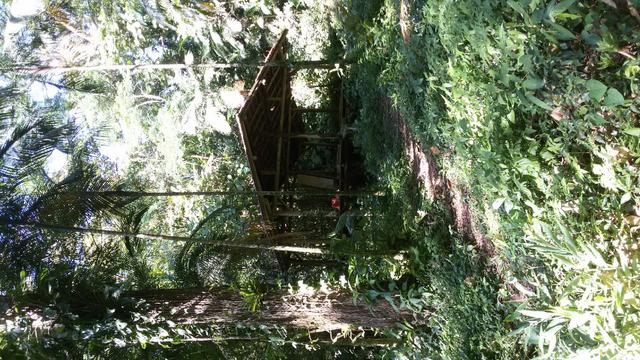 Chacrinha - Foto 3