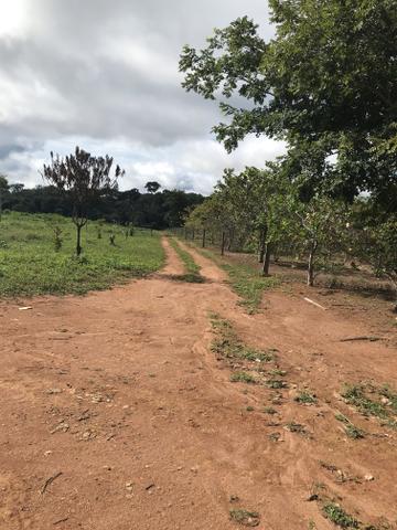 Vendo chácaras em Sinop-MT (Preço de ocasião) - Foto 4