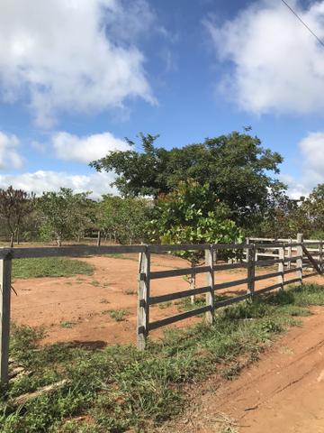 Vendo chácaras em Sinop-MT (Preço de ocasião)