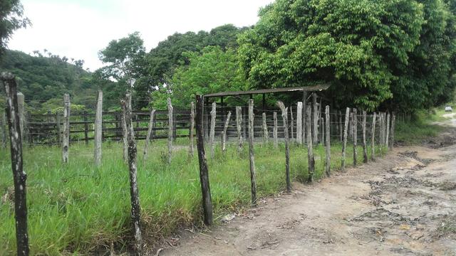 Linda Fazenda em Joaquim Gomes 60 hectares apenas 750 mil