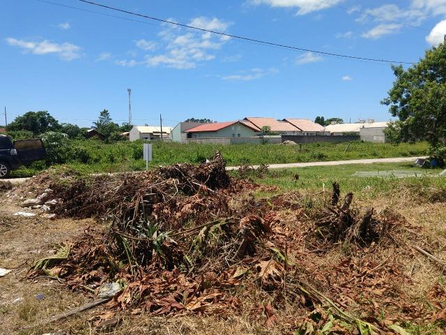 Terreno Próximo ao Porto de Itapoá - Foto 12