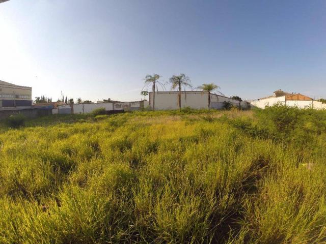 Terreno à venda, 384 m² por r$ 359.000 - jardim kennedy - rio claro/sp - Foto 3