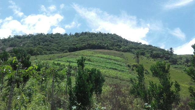 Sítio dos sonhos seu pedaço do Paraíso com 7 hectares por 150 mil - Foto 16