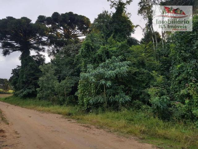 Chácara serrinha - Foto 4