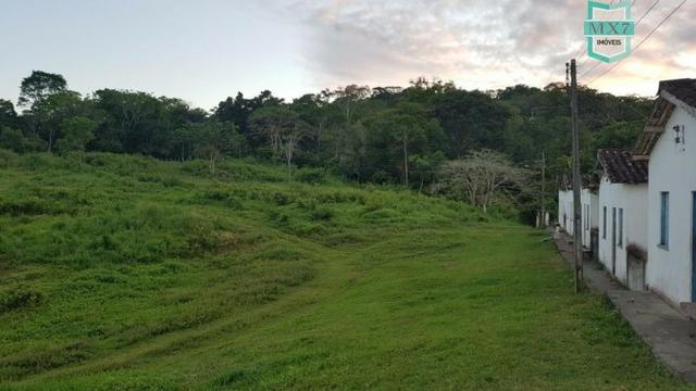 Barro Preto-BA. Fazenda de 167 Hectares. produção de cacau - Foto 4