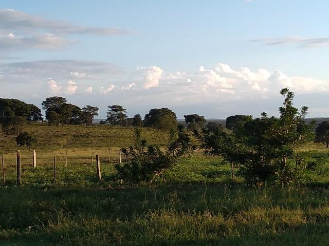 2.253 Há. Alto Garças-MT (Plana ao Lado Lavoura) - Foto 12