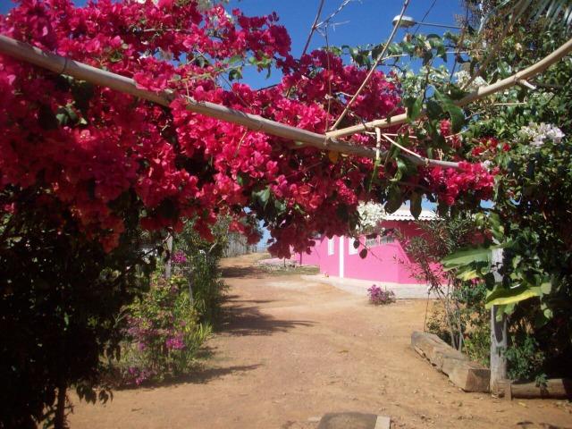 Cód. 5284 - Sítio em Cocalzinho de Goiás - Foto 16