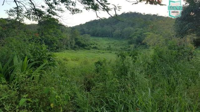 Barro Preto-BA. Fazenda de 167 Hectares. produção de cacau - Foto 15