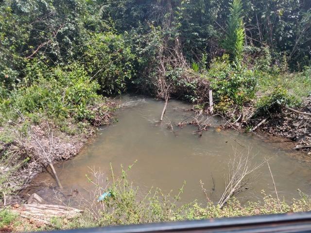 2.400 Há em Lavoura. S.J Xingu-MT - Foto 13