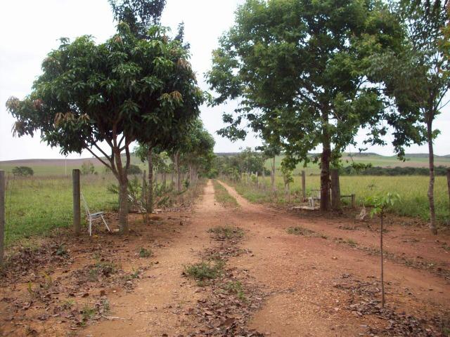 Cód. 5284 - Sítio em Cocalzinho de Goiás - Foto 6