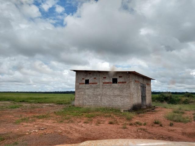 2.400 Há em Lavoura. S.J Xingu-MT - Foto 6