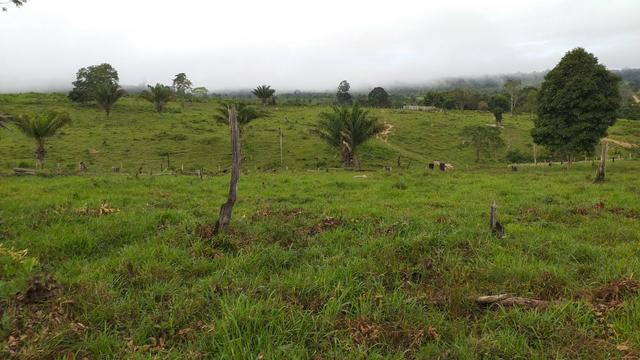 Fazenda - Foto 9