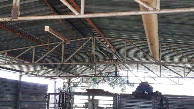 Fazenda Linda - Foto 6