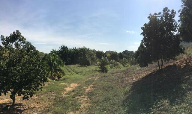 Terreno / Lote em Serra - Foto 4