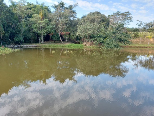 Sorocaba Região Lindo Sítio 6 Alqueires  - Foto 5