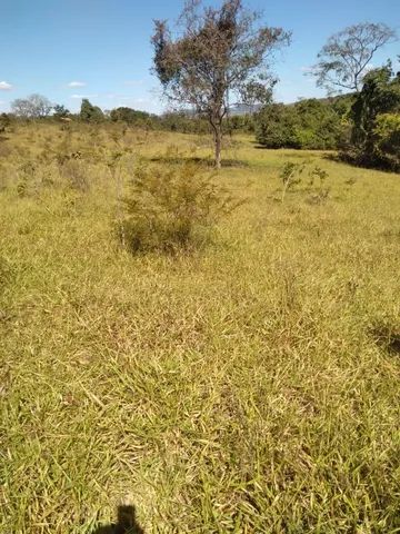 Chácara em varjao  - Foto 4