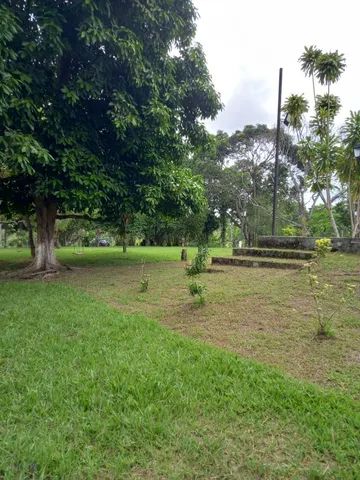 Fazenda Lalyele no Alto do Ipê - Foto 4