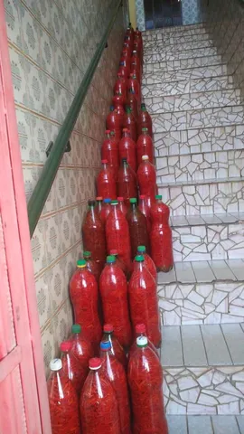 Pimenta malagueta