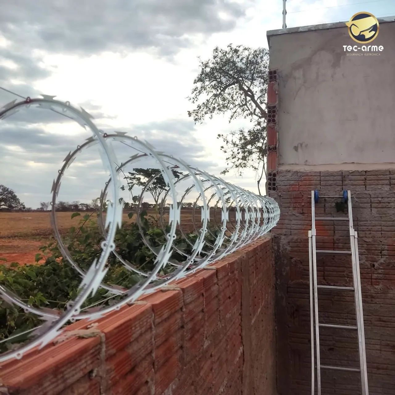 Concertina 30cm galvanizado 10x no cartão  - Foto 2