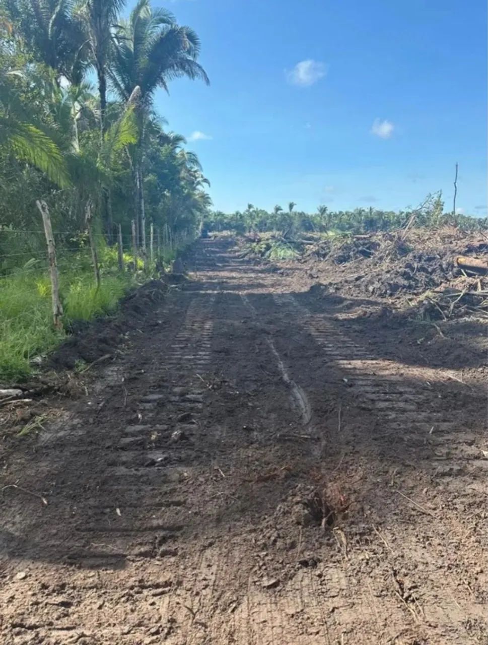 Fazenda Piauí 324 Hectares Soja Pecuária