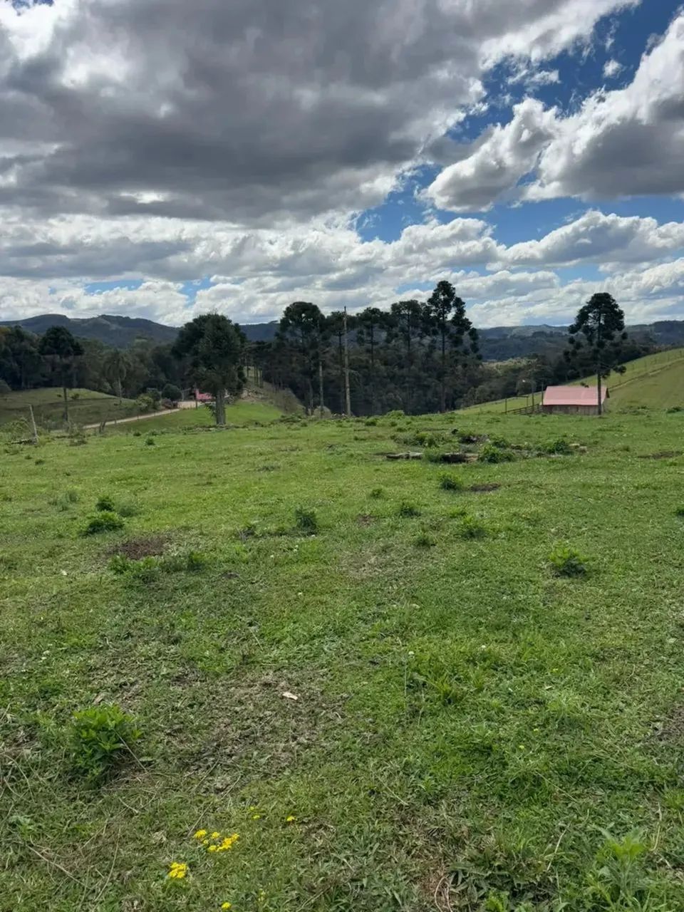 Sítio à Venda em Rancho Queimado  SC  Com riacho dentro da propriedade! - Foto 7