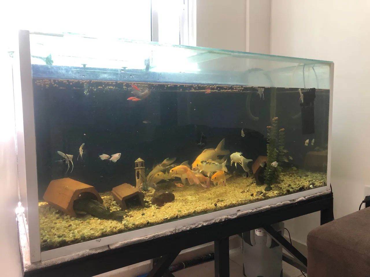 Aquário de 576 litros completo  - Foto 3